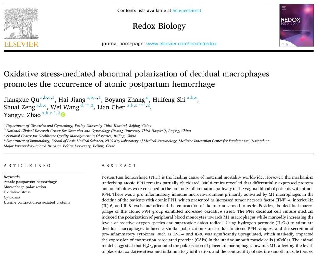 赵扬玉/王巍研究团队在Redox Biology发表成果，发现子宫收缩乏力性产后出血新机制