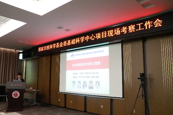 图片 16
